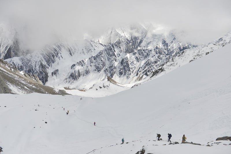 Jurassic Expeditions